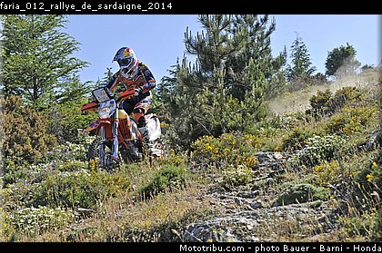 faria_012_rallye_de_sardaigne_2014.jpg