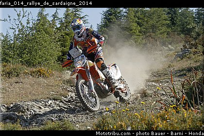 faria_014_rallye_de_sardaigne_2014.jpg