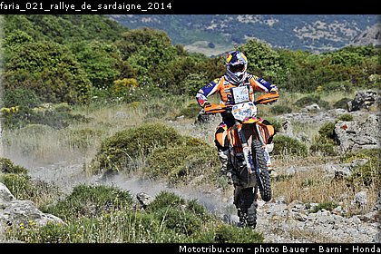 faria_021_rallye_de_sardaigne_2014.jpg