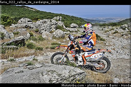 faria_022_rallye_de_sardaigne_2014.jpg