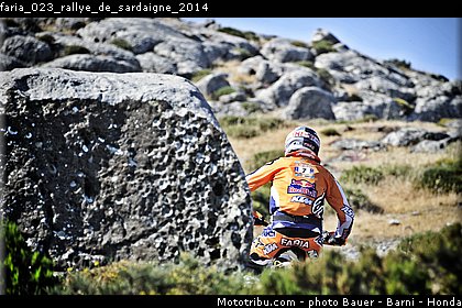 faria_023_rallye_de_sardaigne_2014.jpg