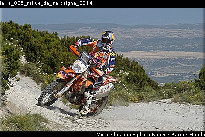 faria_025_rallye_de_sardaigne_2014.jpg