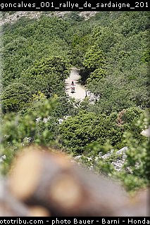 goncalves_001_rallye_de_sardaigne_2014.jpg