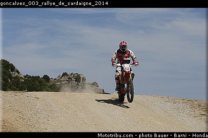 goncalves_003_rallye_de_sardaigne_2014.jpg