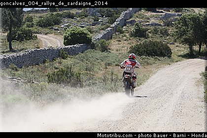 goncalves_004_rallye_de_sardaigne_2014.jpg