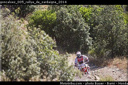 goncalves_005_rallye_de_sardaigne_2014.jpg