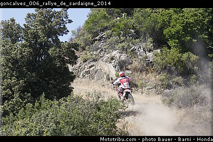goncalves_006_rallye_de_sardaigne_2014.jpg