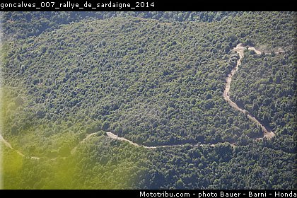 goncalves_007_rallye_de_sardaigne_2014.jpg