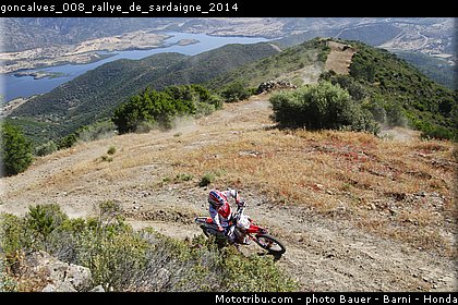 goncalves_008_rallye_de_sardaigne_2014.jpg