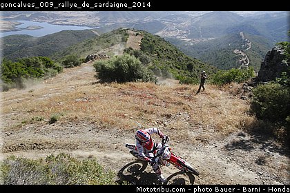 goncalves_009_rallye_de_sardaigne_2014.jpg