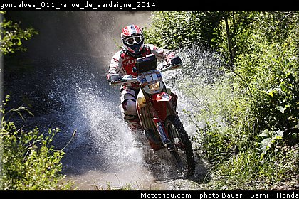goncalves_011_rallye_de_sardaigne_2014.jpg