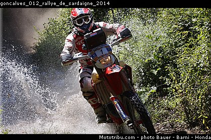 goncalves_012_rallye_de_sardaigne_2014.jpg
