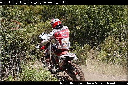 goncalves_013_rallye_de_sardaigne_2014.jpg