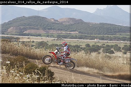 goncalves_014_rallye_de_sardaigne_2014.jpg