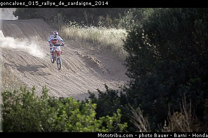 goncalves_015_rallye_de_sardaigne_2014.jpg