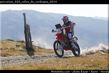 goncalves_020_rallye_de_sardaigne_2014.jpg