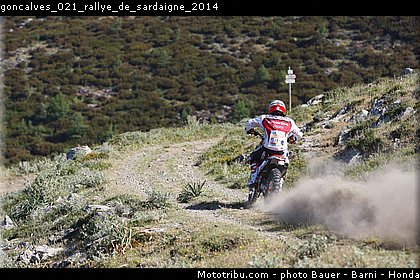 goncalves_021_rallye_de_sardaigne_2014.jpg