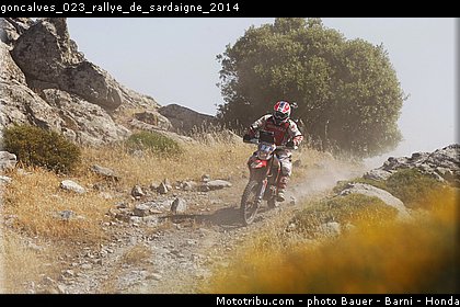 goncalves_023_rallye_de_sardaigne_2014.jpg