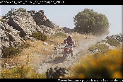 goncalves_024_rallye_de_sardaigne_2014.jpg