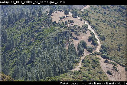 rodrigues_001_rallye_de_sardaigne_2014.jpg