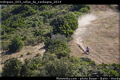 rodrigues_003_rallye_de_sardaigne_2014.jpg