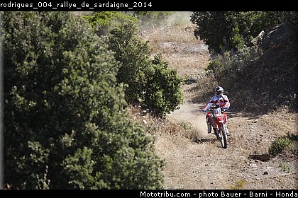 rodrigues_004_rallye_de_sardaigne_2014.jpg