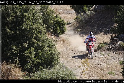rodrigues_005_rallye_de_sardaigne_2014.jpg