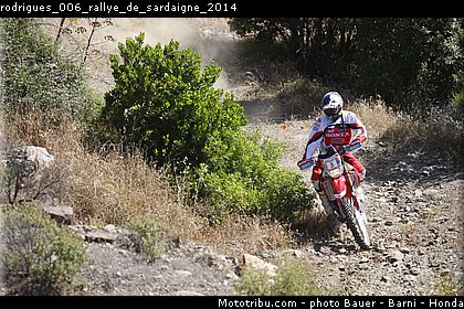rodrigues_006_rallye_de_sardaigne_2014.jpg
