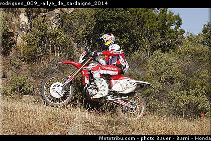 rodrigues_009_rallye_de_sardaigne_2014.jpg