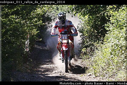 rodrigues_011_rallye_de_sardaigne_2014.jpg