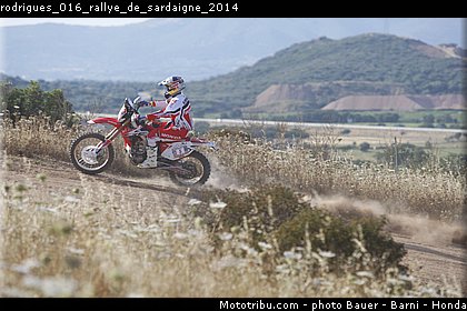 rodrigues_016_rallye_de_sardaigne_2014.jpg