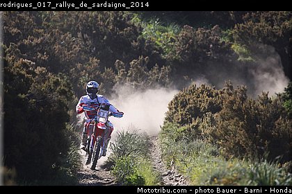rodrigues_017_rallye_de_sardaigne_2014.jpg