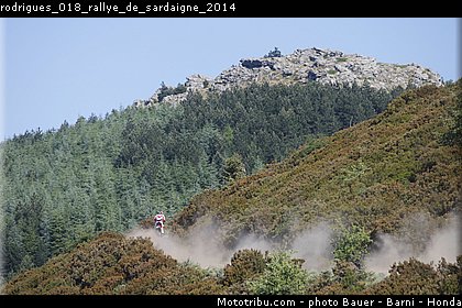 rodrigues_018_rallye_de_sardaigne_2014.jpg