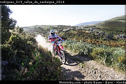 rodrigues_019_rallye_de_sardaigne_2014.jpg