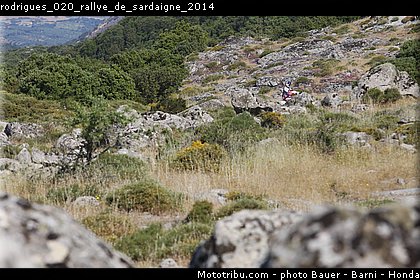 rodrigues_020_rallye_de_sardaigne_2014.jpg
