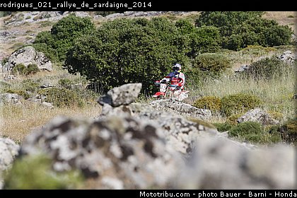 rodrigues_021_rallye_de_sardaigne_2014.jpg