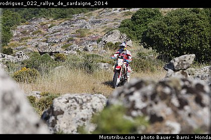 rodrigues_022_rallye_de_sardaigne_2014.jpg