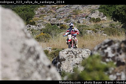 rodrigues_023_rallye_de_sardaigne_2014.jpg