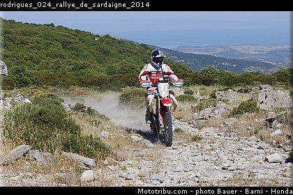 rodrigues_024_rallye_de_sardaigne_2014.jpg