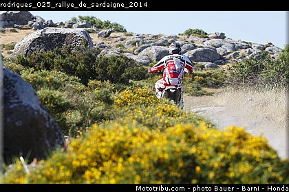 rodrigues_025_rallye_de_sardaigne_2014.jpg