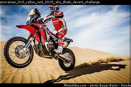 goncalves_010_rallye_raid_2015_abu_dhabi_desert_challenge.jpg