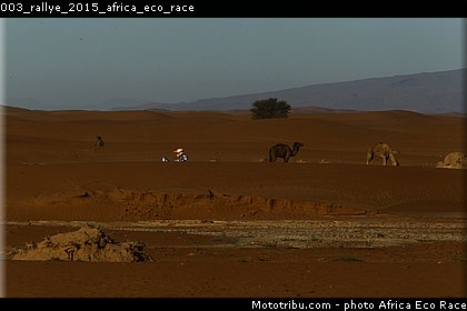 003_rallye_2015_africa_eco_race.jpg