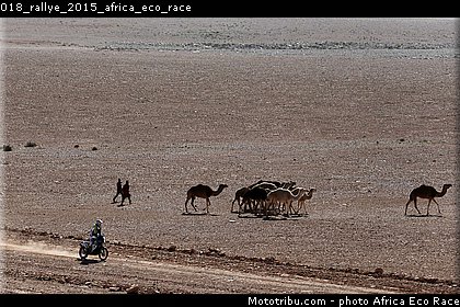 018_rallye_2015_africa_eco_race.jpg