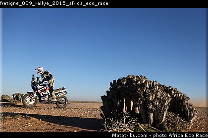 fretigne_009_rallye_2015_africa_eco_race.jpg