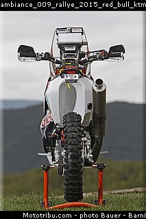 ambiance_009_rallye_2015_red_bull_ktm_factory_racing_team.jpg