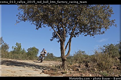 coma_013_rallye_2015_red_bull_ktm_factory_racing_team.jpg
