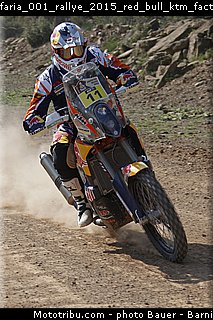 faria_001_rallye_2015_red_bull_ktm_factory_racing_team.jpg