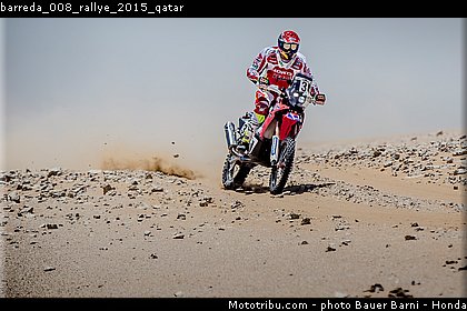 barreda_008_rallye_2015_qatar.jpg