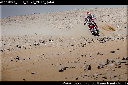 goncalves_008_rallye_2015_qatar.jpg