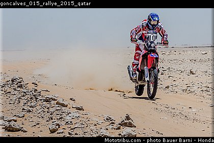 goncalves_015_rallye_2015_qatar.jpg